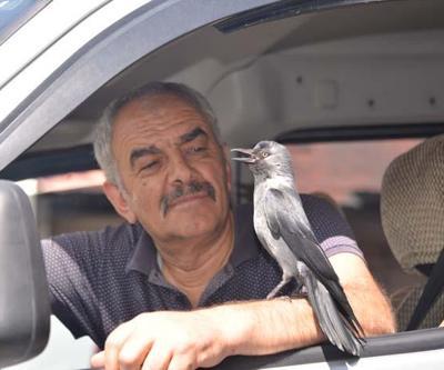 Karga Cingözle 4 yıldır dost