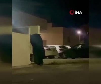Şehrin ortasında devasa ayı Vatandaşlar korkuyla kaçıştı