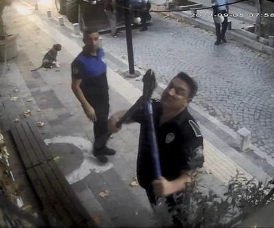 Sarıyerde tartışmaya neden olan zeytin ağaçlarına şafak operasyonu