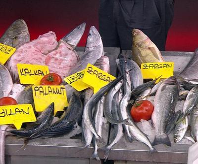 Balık tezgahta 5 kat pahalı Hem balıkçılar hem tüketici şikayetçi, nasıl oluyor