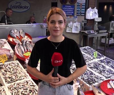 Balıkçı tezgahlarında hamsi bolluğu yaşanıyor