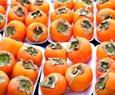 Hurma Çeşitleri Nelerdir En Çok Bilinen Hurma Çeşitleri...