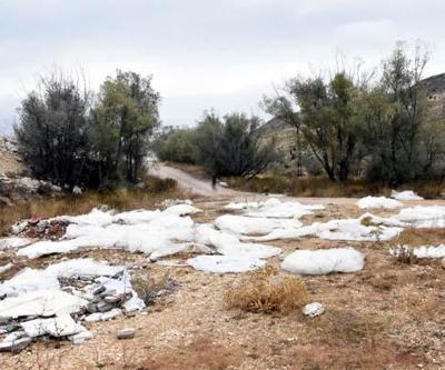 Sivasta şaşırtan görüntü: Gelinlik deresi