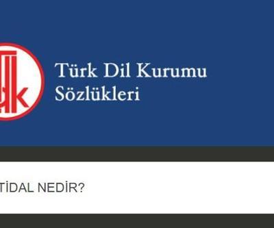 İtidal nedir, ne demek TDK itidal kelimesinin anlamı