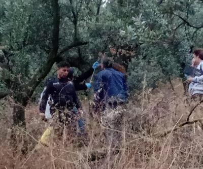 45 gündür aranıyordu Cansız bedeni zeytinlikte bulundu