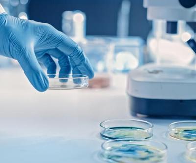 Japon bilim insanları buldu: Sadece erkekleri öldüren virüs keşfedildi