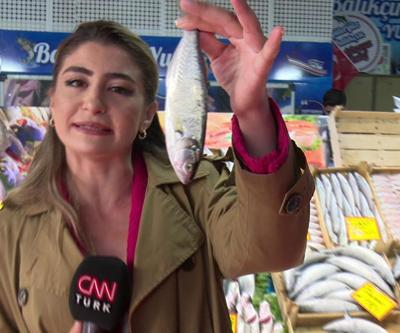Hangi balık kaç liradan satılıyor