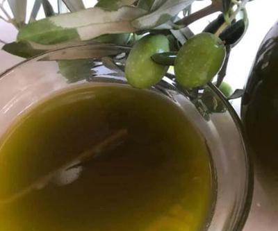 Bahçeden sofralara zeytinyağının yolculuğu