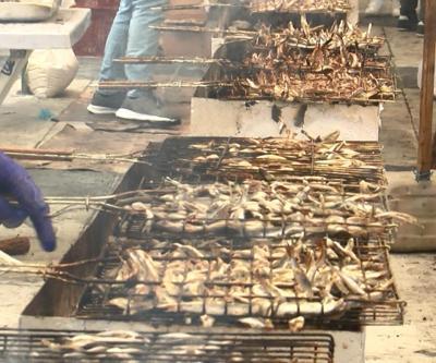 Ankaradaki festivalde 3,5 ton hamsi dağıtıldı