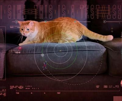 Dönüm noktasının anahtar kelimeleri: NASA, kedi videosu, lazer…