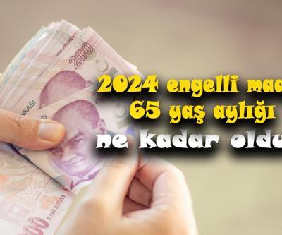 65 yaş aylığı (yaşlılık maaşı), engelli maaşı 2024 ne kadar oldu