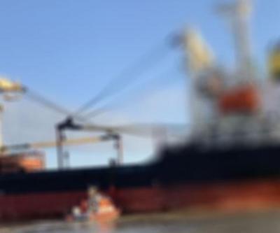 Tuna Nehrinde gemi mayına çarptı: 4 Türk denizcinin sağlık durumu iyi