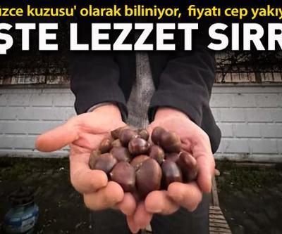 Düzce kuzusu olarak biliniyor, fiyatı cep yakıyor Lezzet sırrı ortaya çıktı