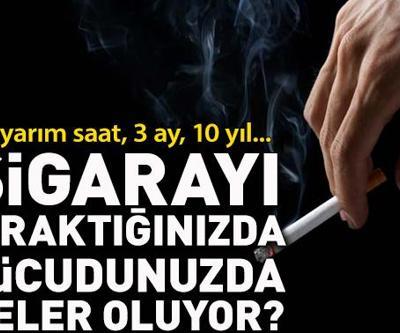 Sigarayı bıraktığınızda vücudunuzda neler oluyor İlk yarım saat, 3 ay, 10 yıl... İşte aşama aşama o değişim