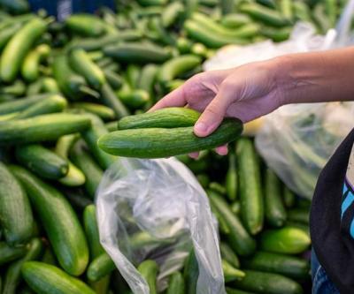 Salatalık Besin Değeri: Salatalık Kaç Kalori