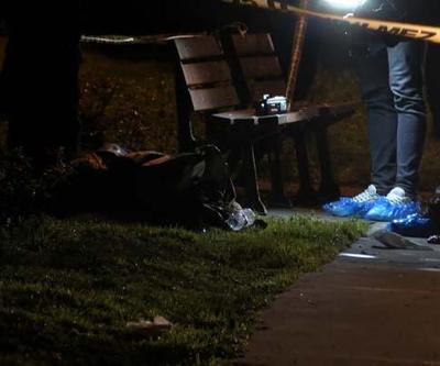 Görenler hemen polisi aradı: Kedilerin kurcaladığı poşetten çıktı