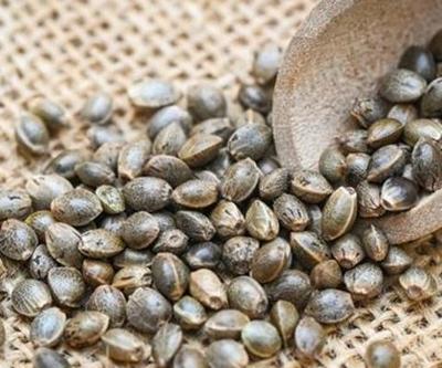 Kadınlar için biçilmiş kaftan Yumurtalık kalitesini artırıp adet düzensizliğine iyi geliyor