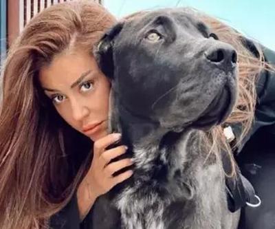 Ünlü fenomenin köpeği dehşet saçtı Banu Parlaktan iddialara yanıt: Beni neredeyse katil pozisyonuna sokmaya çalıştılar