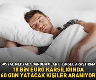 18 bin Euroya 60 gün yatacak kişiler aranıyor Sosyal medyada gündem olan araştırmanın ‘başvuru şartları’ duyanları şaşırttı