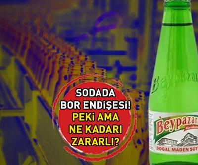 Beypazarı soda için bor endişesi İsviçre tüketmeyin dedi Uzmanlar diyor ki...