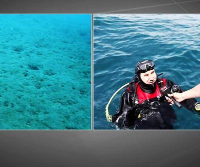 CNN TÜRK görüntüledi: Kirlilik ve deniz salyası Ege Denizine ulaştı mı