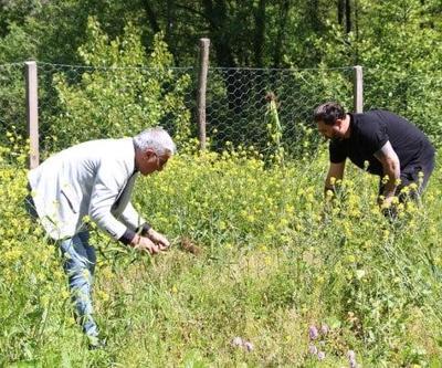 Üreten zengin oldu, fiyatı altınla ölçülüyor Trabzon’da sadece 45 kişi üretiyor…