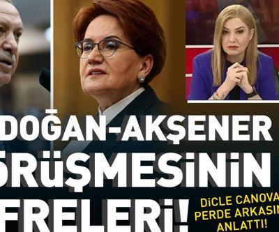 SON DAKİKA: Erdoğan-Akşener görüşmesinin şifreleri Dicle Canova aktardı