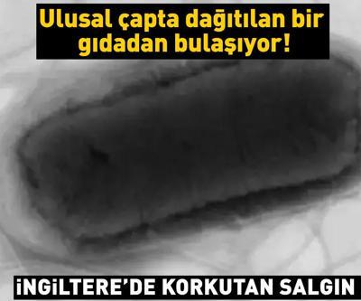 Ulusal çapta dağıtılan bir gıdadan bulaşıyor İngilterede korkutan salgın