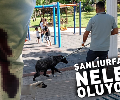 Şanlıurfada neler oluyor 2 mahalle karantinada