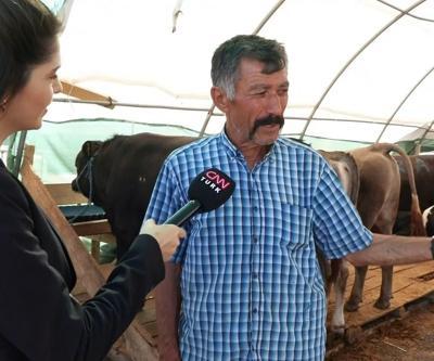 Bayram öncesi kurban pazarlığı