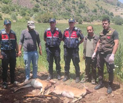 Malatyada kaçak avcıya rekor ceza: 613 bin 980 TL