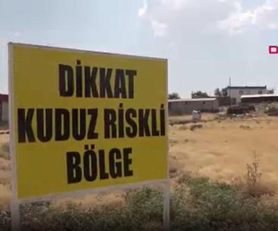 Şanlıurfada mahalleye kuduz karantinası