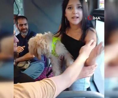 Köpekle otobüse bindi, tepki gösteren yolcularla tartıştı