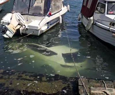İstanbulda otomobil denize düştü: Park etmeye çalışırken kontrolü kaybetti