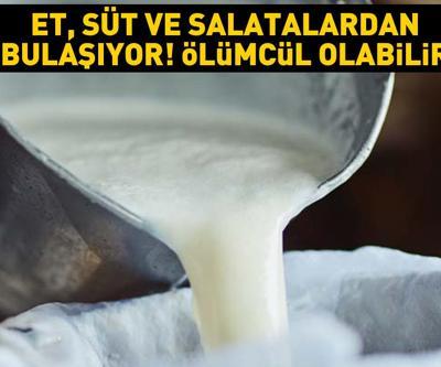 Et, süt ve salatalardan bulaşıyor Aman dikkat Ölümcül zehirlenmelere neden olabilir