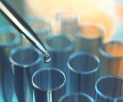 Nükleotit Nedir, Ne İşe Yarar Nükleotitler: Genetik Bilginin Temeli Ve Dnanın Yapısı