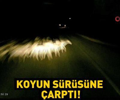 Kamyonet sürüye çarptı: 16 koyun telef oldu