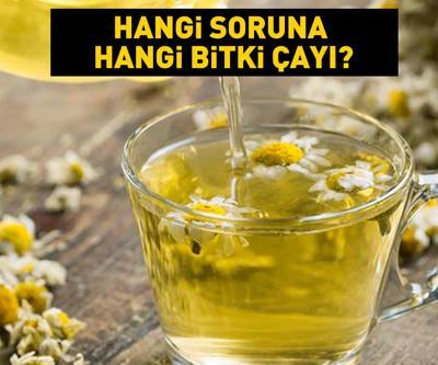 Baş ağrısı, uykusuzluk, öksürük, yorgunluk... Hangi soruna hangi bitki çayı iyi geliyor