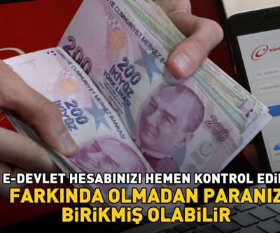 Dikkat birçok kişi bilmiyor E-devlet hesabınızda binlerce lira birikmiş olabilir Hemen kontrol edin