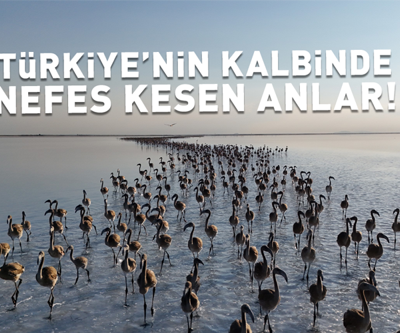 TÜRKİYENİN KALBİNDE NEFES KESEN ANLAR: Binlercesi özgürlüğe kanat çırptı