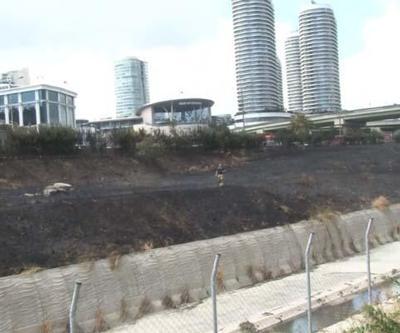 İSTANBULDA ŞOK 2 kişi yol kenarında bulunan otları ve ağaçları yakıp kaçtı