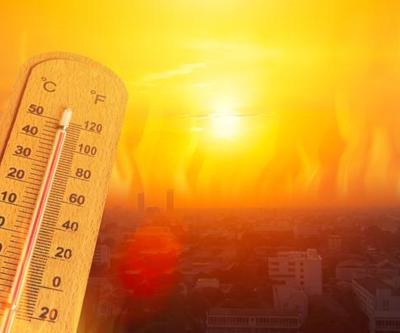 Aşırı sıcaklar felaket getirdi 24 saatte rekor ölüm