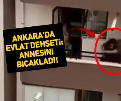 Video Haber: Ankarada evlat dehşeti Tartıştığı annesini bıçakladı