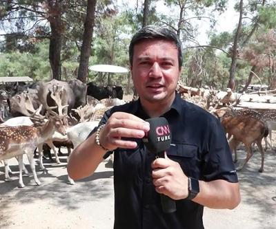 CNN TÜRK, Türkiyenin en büyük hayvanat bahçesinde