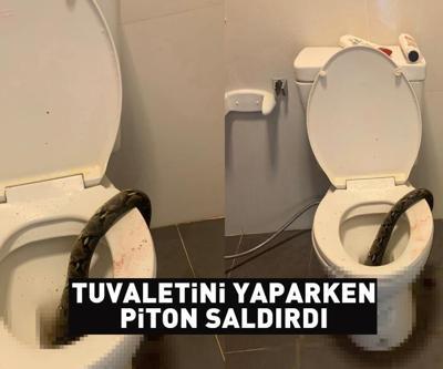 Kendi evinde dehşeti yaşadı Tuvalette 3,5 metrelik piton saldırdı