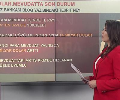 Piyasada döviz dayatmaları işe yaramadı TLde tasarrufların seyri ne olur