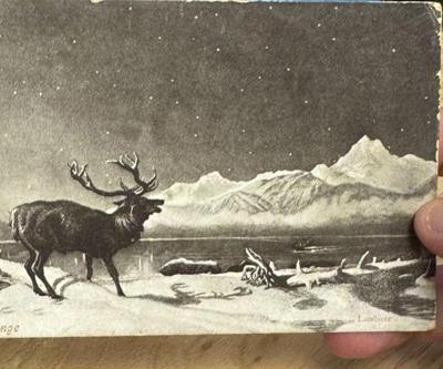 Sahibini bulmak için seferber oldular Asırlık kartpostal adresine 121 yıl sonra teslim edildi