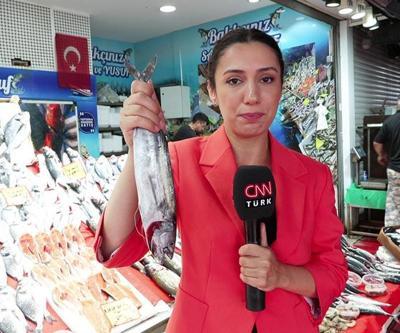 Bu sezon en çok hangi balık türü tezgahlarda olacak