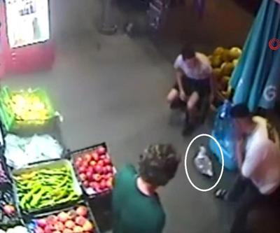 Boğazına yemek kaçan martı vatandaştan yardım istedi
