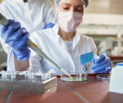 DNA profillemesi nedir DNA kimliklendirme ne demek